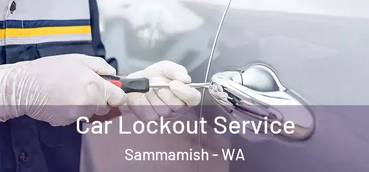  Car Lockout Service Sammamish - WA