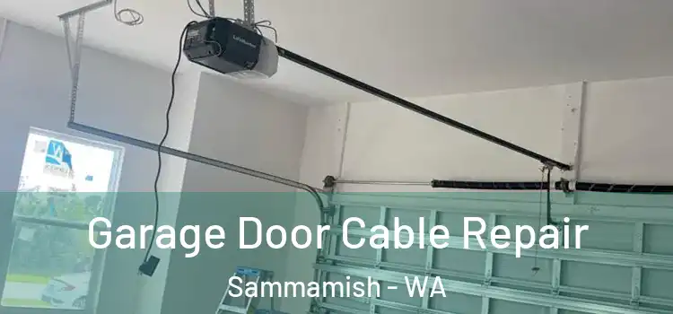  Garage Door Cable Repair Sammamish - WA