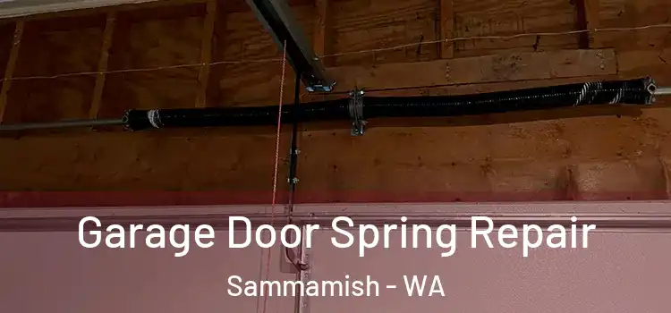  Garage Door Spring Repair Sammamish - WA