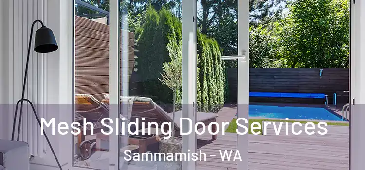  Mesh Sliding Door Services Sammamish - WA