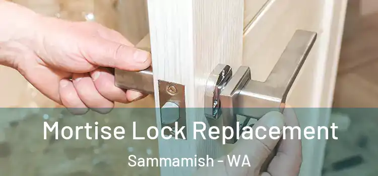  Mortise Lock Replacement Sammamish - WA