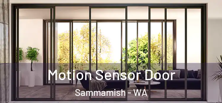  Motion Sensor Door Sammamish - WA