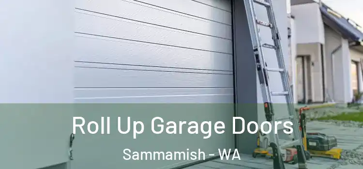  Roll Up Garage Doors Sammamish - WA