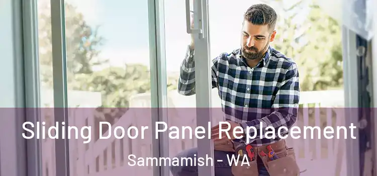  Sliding Door Panel Replacement Sammamish - WA