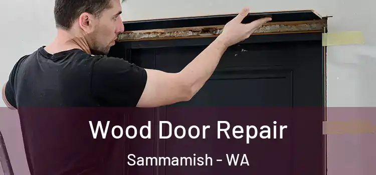 Wood Door Repair Sammamish - WA